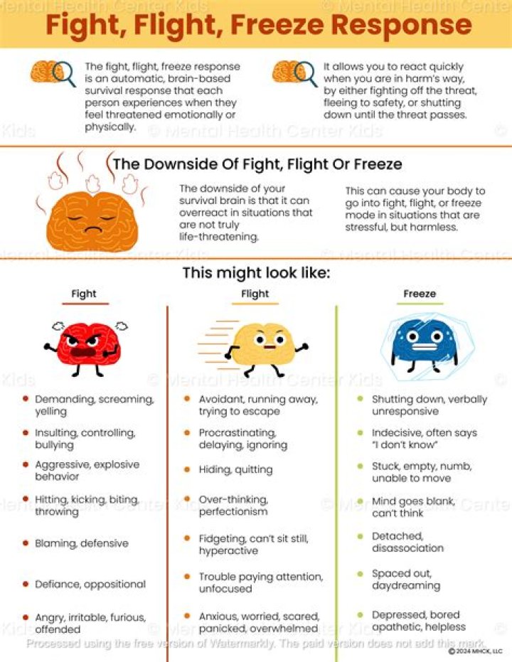 Is anxiety the same as fight-or-flight?