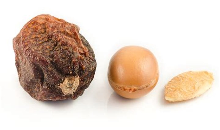 Is argan oil a tree nut?