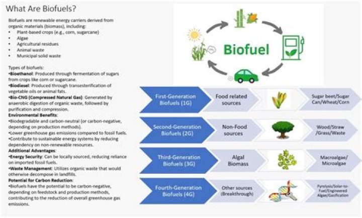 Is biofuel really green?