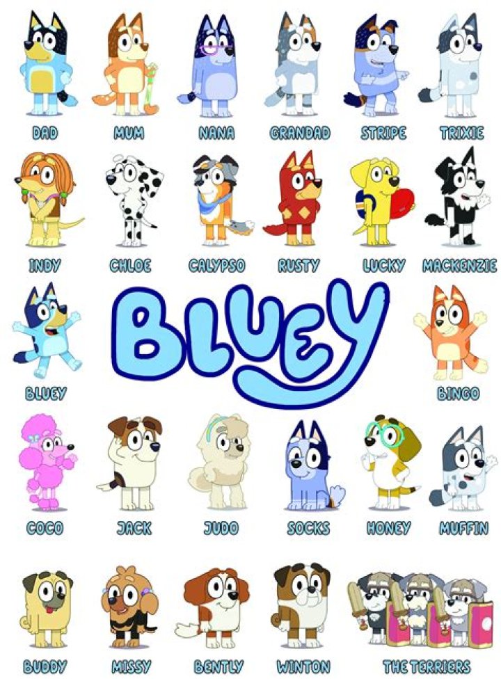 Is Bluey the end?