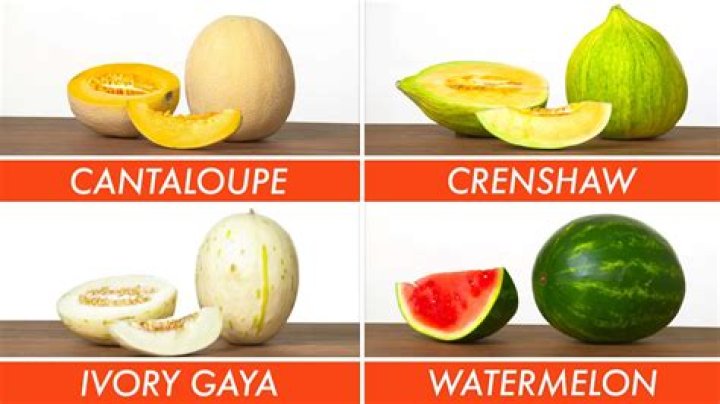 Is cantaloupe same as honeydew?
