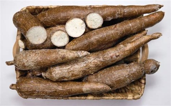 Is cassava flour a starch?
