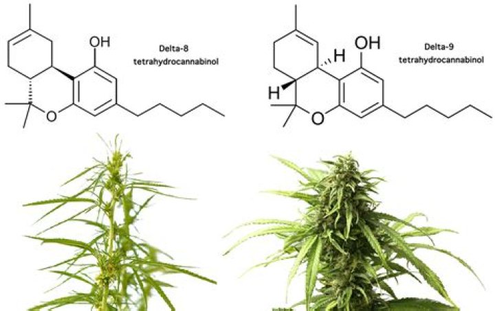 Is delta-8 sprayed on hemp?