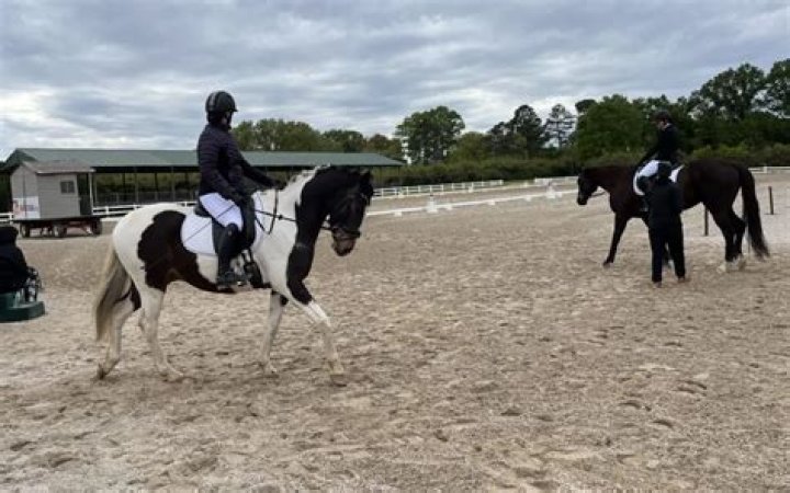 Is dressage cruel to the horse?