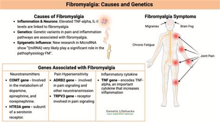 Is fibromyalgia a disability 2020?