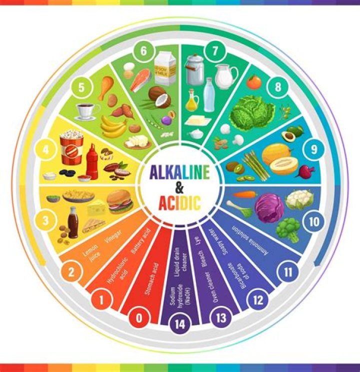 Is garlic an alkaline food?