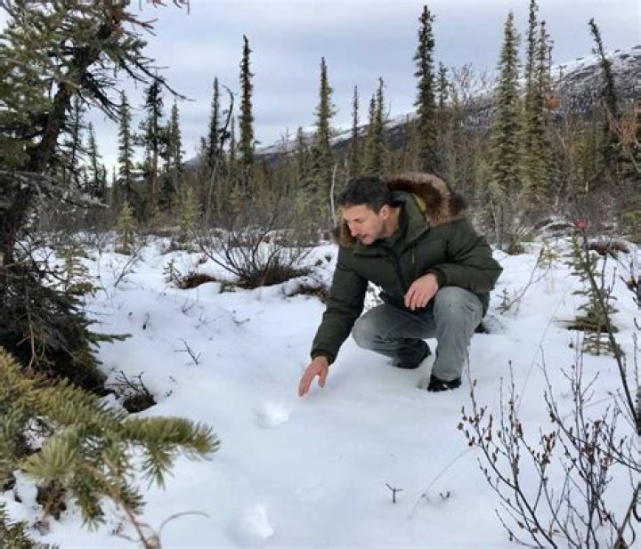 Is Glenn Villeneuve still on Life Below Zero?