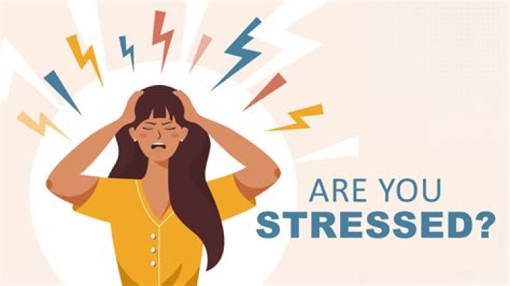 Is having a puppy stressful?