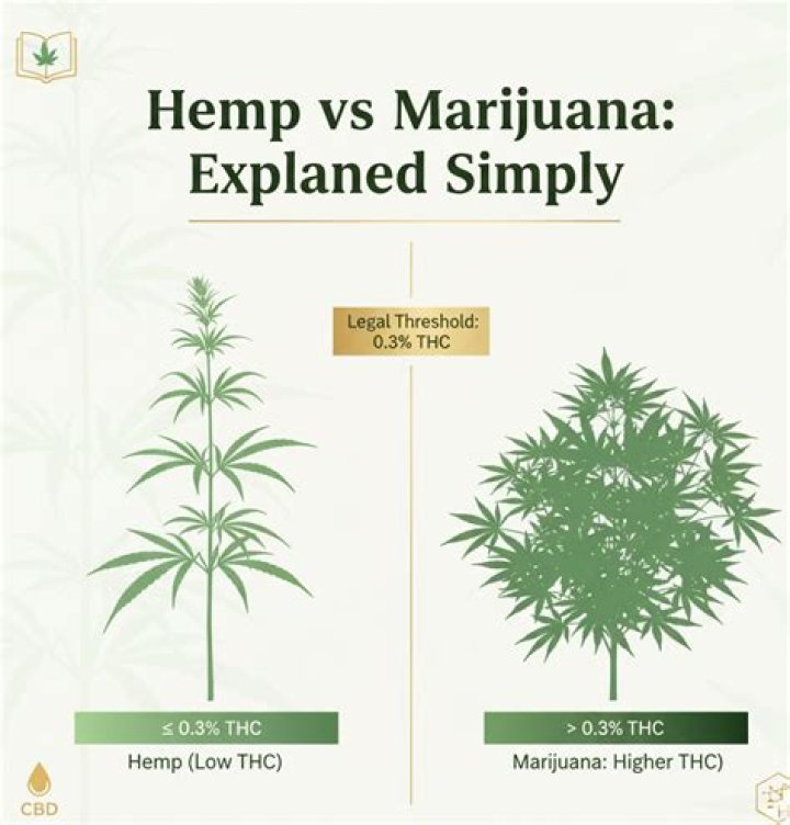 Is hemp the same as CBD?