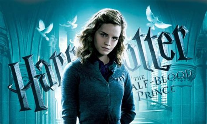 Is Hermione half-blood or pureblood?