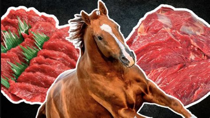 Is horse good to eat?