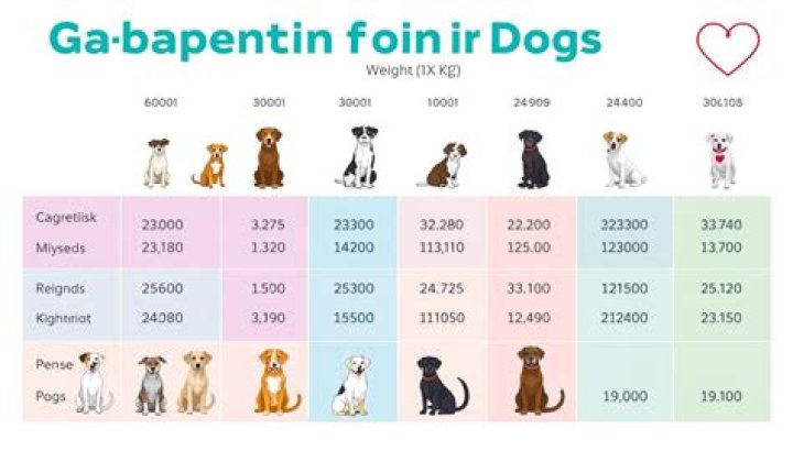 Is human gabapentin the same as dog gabapentin?