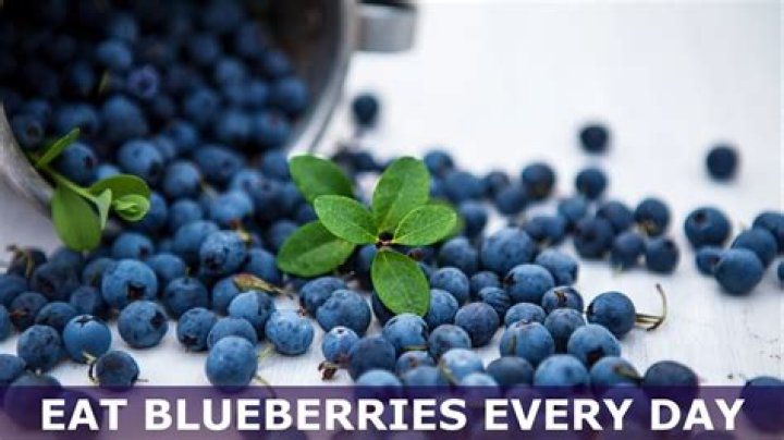 Is it healthy to eat blueberries every day?