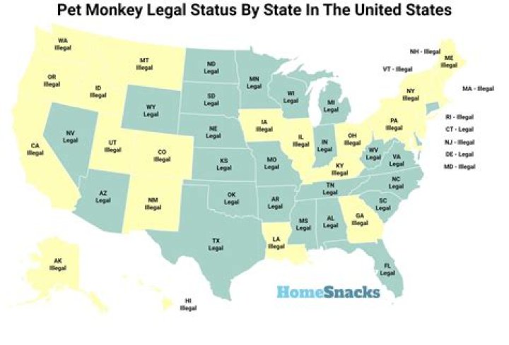 Is it legal to own slaves anywhere?