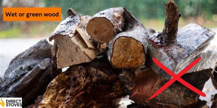 Is it OK to burn green wood?
