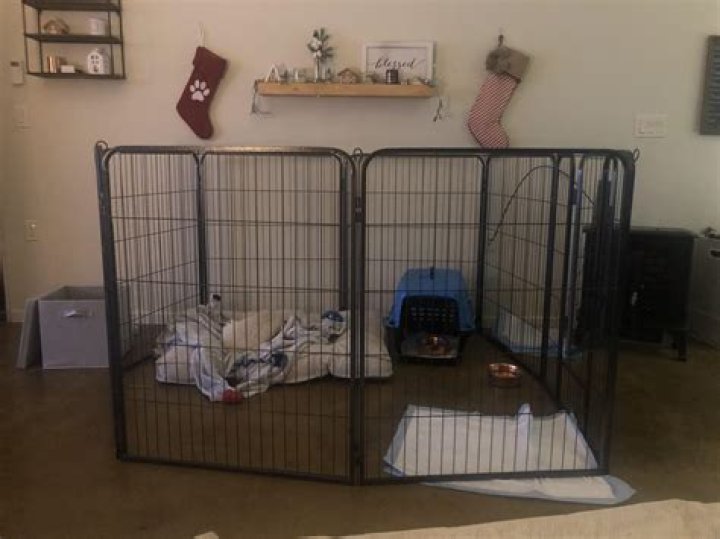 Is it OK to leave puppy in playpen while at work?