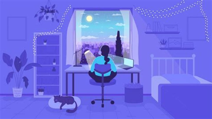 Is it OK to lock a cat in a room at night?