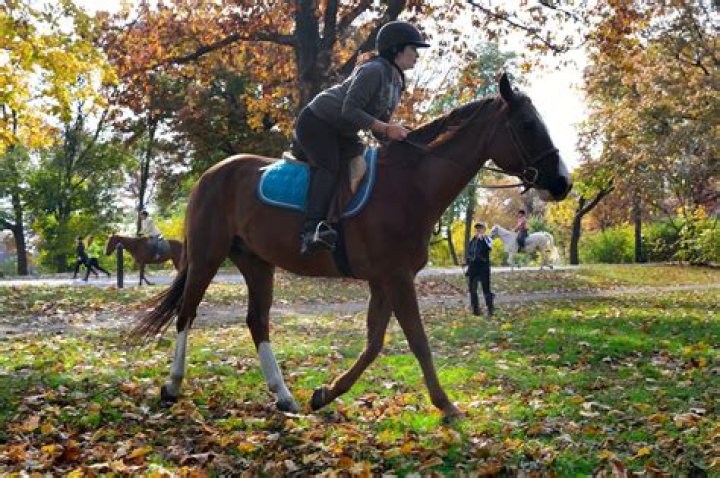 Is it OK to ride your horse twice a day?