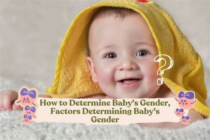 Is it the mother or father that determines gender?