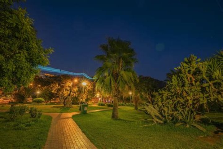 Is it weird to garden at night?