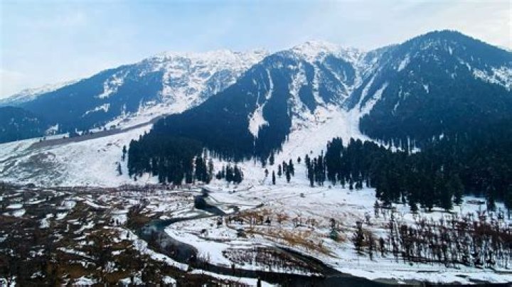 Is Kashmir honey good?