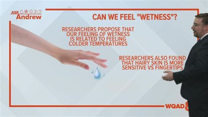 Is kissing supposed to feel wet?