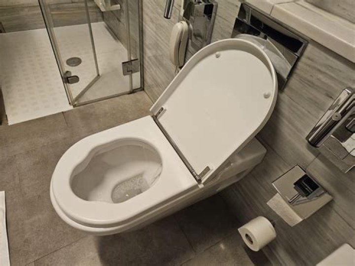 Is leaving the toilet seat up rude?