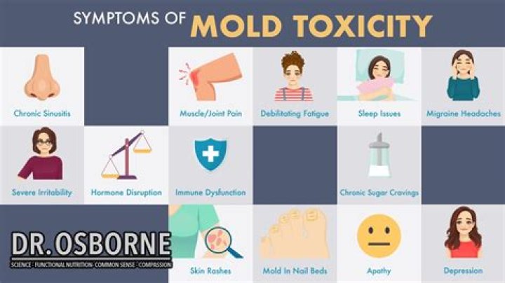 Is mold fogging toxic?