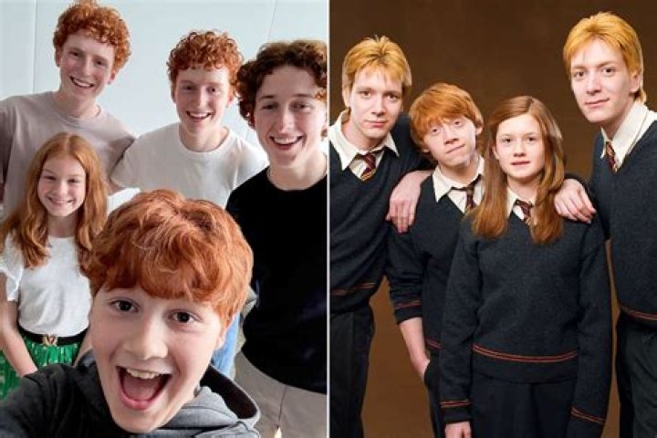 Is Mrs Weasley a Muggle?