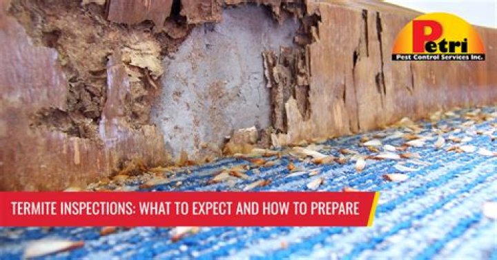 Is OSB termite-resistant?
