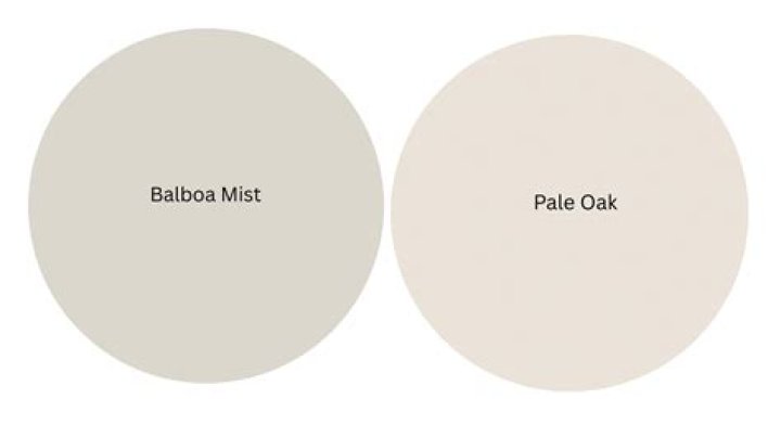 Is pale oak warmer than Balboa mist?