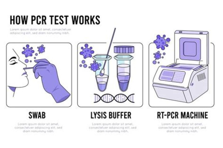 Is PCR test free in UK?