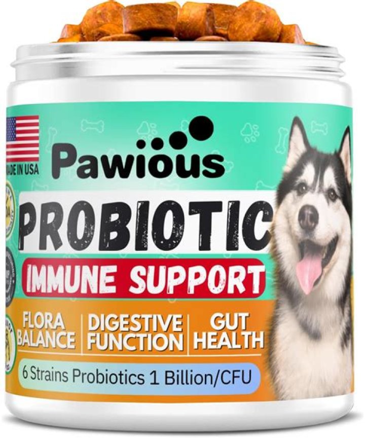 Is probiotic good for dogs with diarrhea?