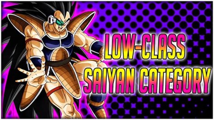 Is Raditz a low-class Saiyan?