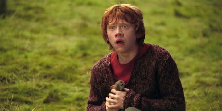 Is Ron Weasley a Hufflepuff?