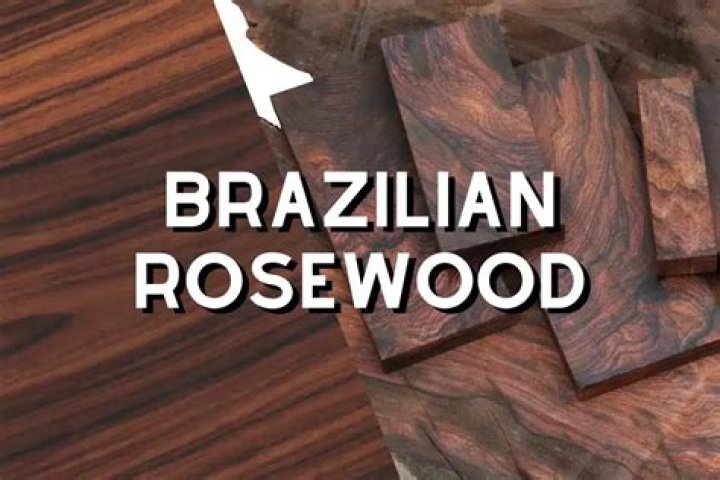 Is rosewood going extinct?