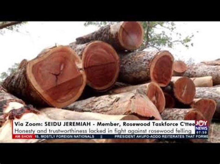 Is selling rosewood furniture illegal?
