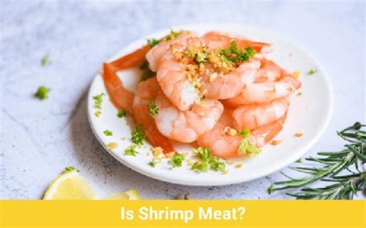 Is shrimp considered meat?