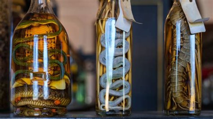 Is snake wine illegal in the US?