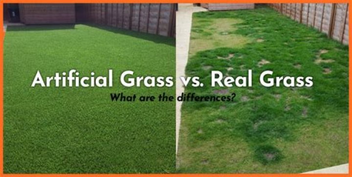 Is sod real grass?