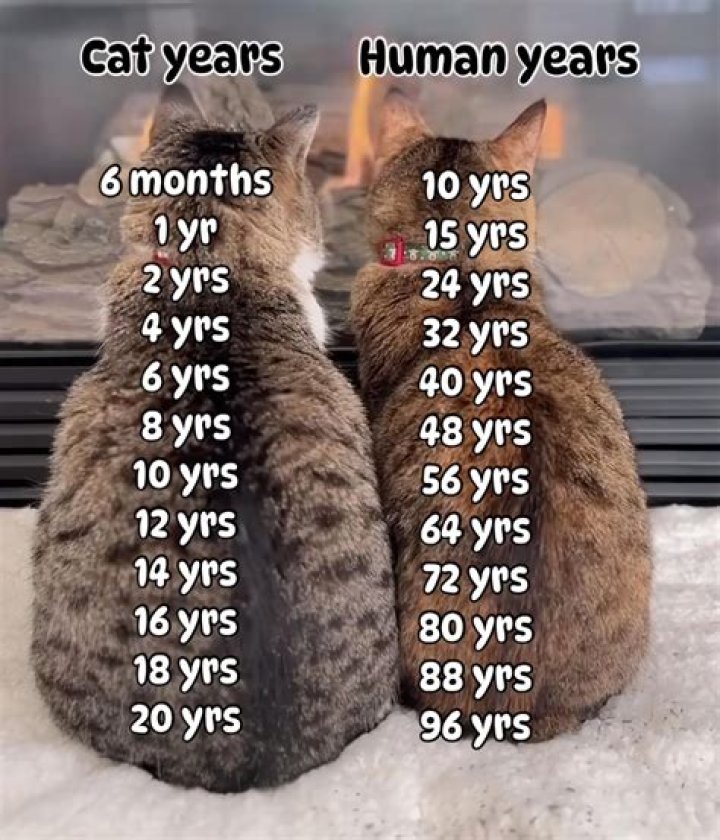 Is Sonic 25 years old?