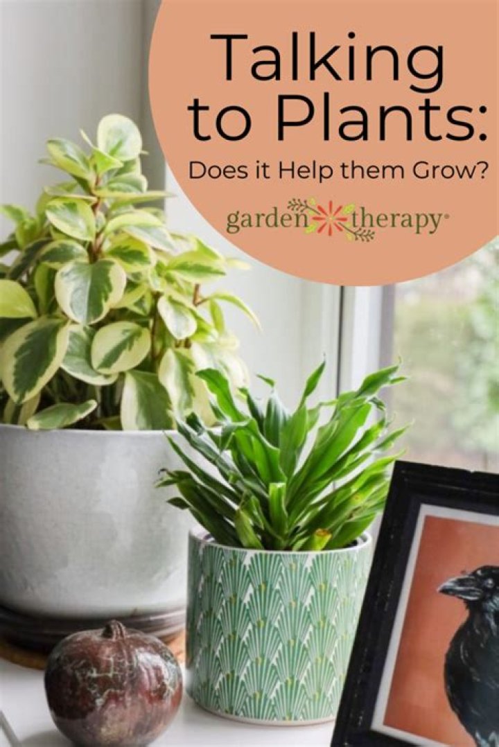 Is talking to plants good?