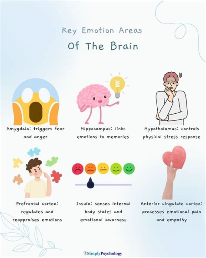 Is the right brain more emotional?