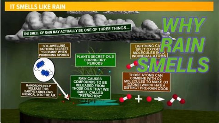 Is the smell of Freon harmful?