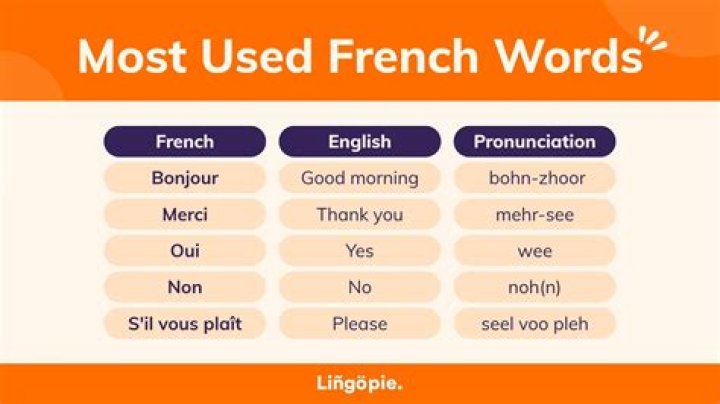 Is the word Papillon French?