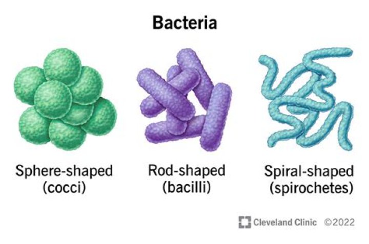 Is there bacteria on every surface?
