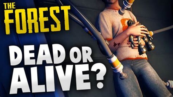 Is Timmy alive The Forest?