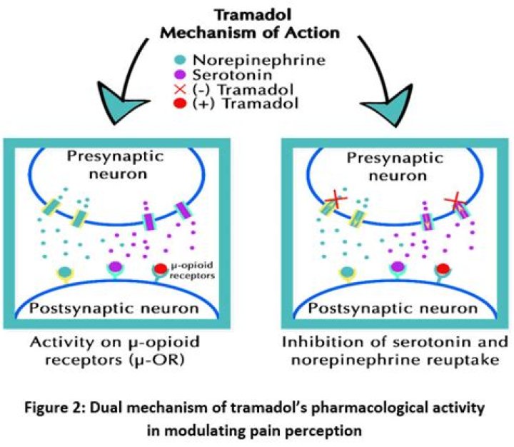 Is tramadol a sedative?