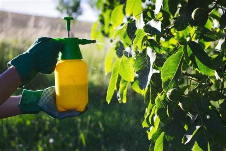 Is vinegar a fungicide?