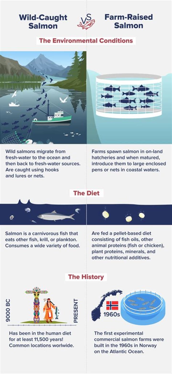 Is wild caught salmon high in mercury?